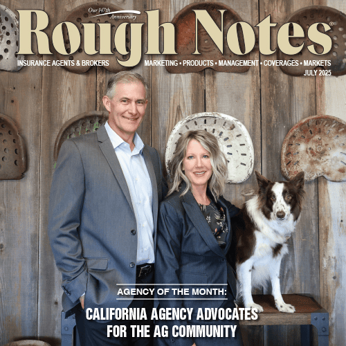 Rough Notes Cover Image